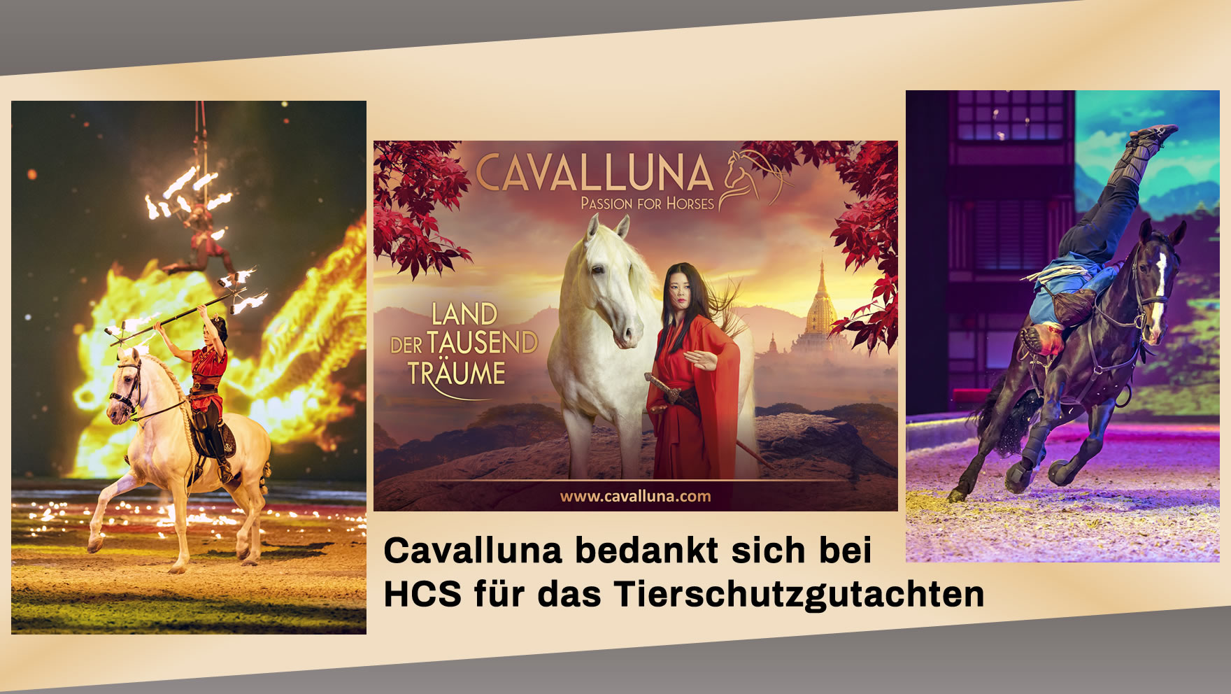 CAVALLUNA - HCS Blog