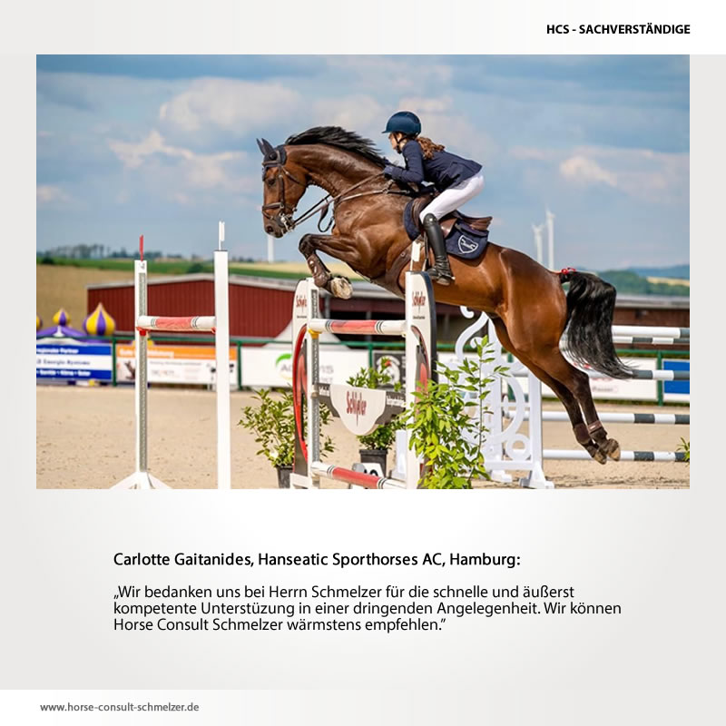 Hanseatic Sporthorses AC, Carlotte Gaitanides - Hamburg